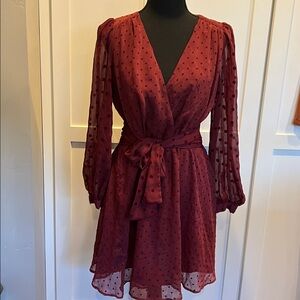 Zara Burgundy Long Sleeve Polka Dot Dress Size S
